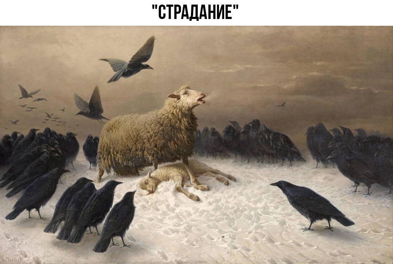   ! - 8  2022  08:11