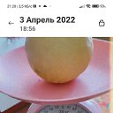 ���� ������, �����, 63 ���� - ��������� 15 ������ 2023 � ������ ���� ����