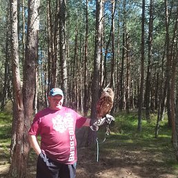 �������, ������