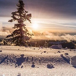 ������, ���������, 57 ���