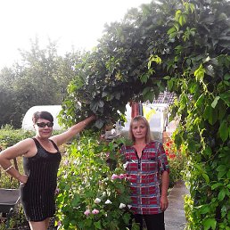 �����, ������, 51 ���