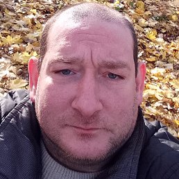 ����, ����, 41 ���