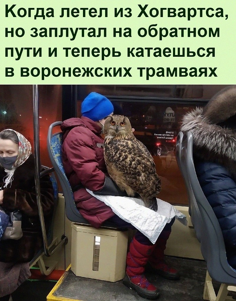   :D - 17  2022  22:37