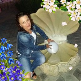 �����, ������, 50 ���