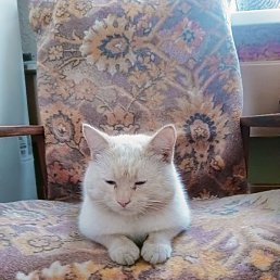 Vitaly, ������, 37 ���