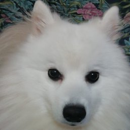 ���� ��������, ������, 55 ��� - ��������� 2 ������� 2023