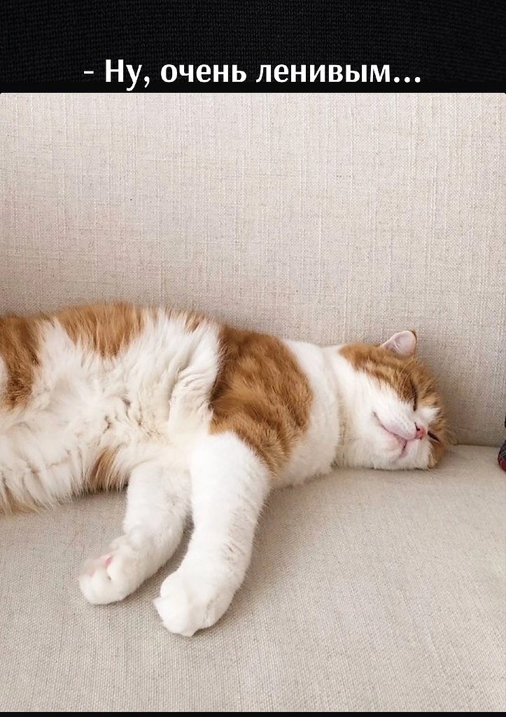       - 12  2022  15:21 - 3