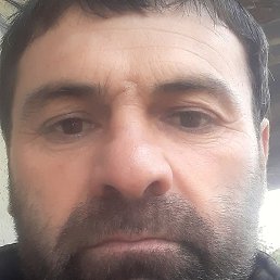 �����, ���������, 40 ���