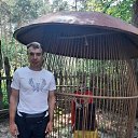 ���� ������, ������, 47 ��� - ��������� 11 ������� 2023 � ������ ���� ����������