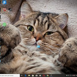 ����, ������, 54 ����