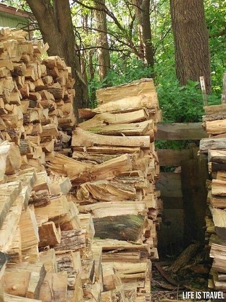 15 минут ищу хамелеона, пока не найду, не усну. Зато нашла кота, ящерицу и попугая)) - 2