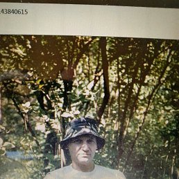 ��������, ������, 65 ���