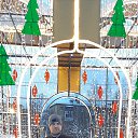 ���� �����, ���������, 43 ���� - ��������� 9 ������� 2022 � ������ ���� ����������