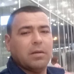 , , 43 
