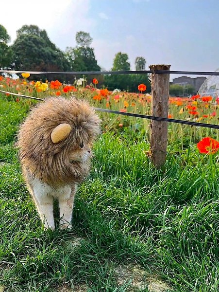 ������ �� �� �����-������ ����� ����, ��� ����? - 3