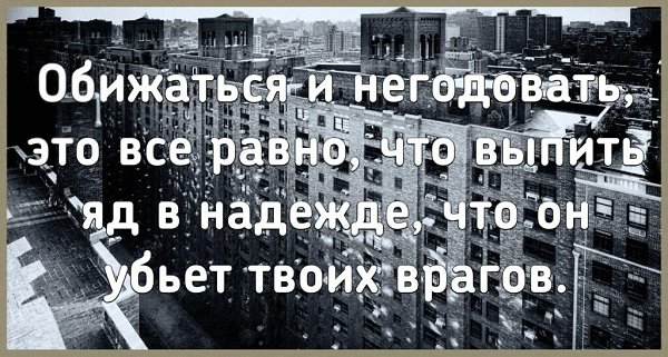 ☆ ☆ - 13  2022  08:42