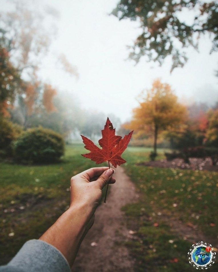 ce, oa, caoe pacoe pe oa.   