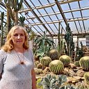  , , 56  -  29  2022   - 2022