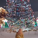 ���� ����, ������ - ��������� 8 ������ 2023 � ������ ���� ����������