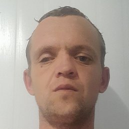 �������, ���������, 41 ���