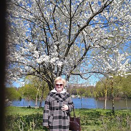 �������, �����-���������, 44 ����