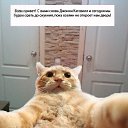 ���� �������, �����������, 41 ��� - ��������� 4 ������ 2022 � ������ ���� ����������