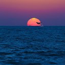  , -, 19  -  10  2022    