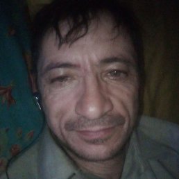 ������, ������, 50 ���