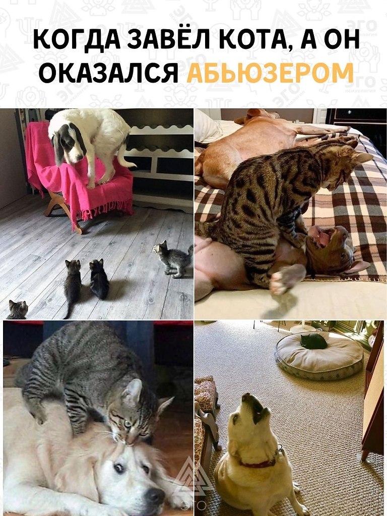 ,    !
