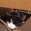 ���� �����, ������, 51 ��� - ��������� 20 ������� 2022 � ������ ���� ����������