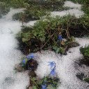 ���� ���� ��������, ������, 52 ���� - ��������� 4 ������ 2022 � ������ ���� ������
