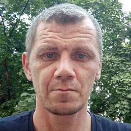 �����, ���������, 41 ���