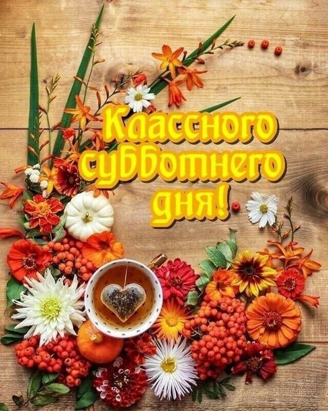   ,    . - 22  2022  14:22