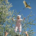 ���� ��������, ����, 30 ��� - ��������� 12 ���� 2022 � ������ ������ ��������