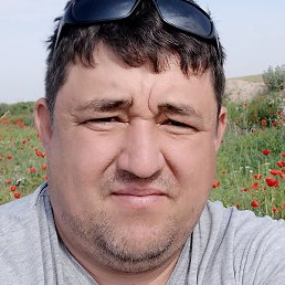 �����, ��, 44 ����