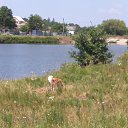  Lubomir_ss,  -  20  2022   ...)