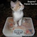 ���� �������, ���������, 56 ��� - ��������� 28 ����� 2022 � ������ ������ ��������