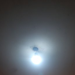 Elsen, ����, 41 ���