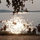 ���� �������, ������������ - ��������� 22 ������� 2022 � ������ ���� ����������
