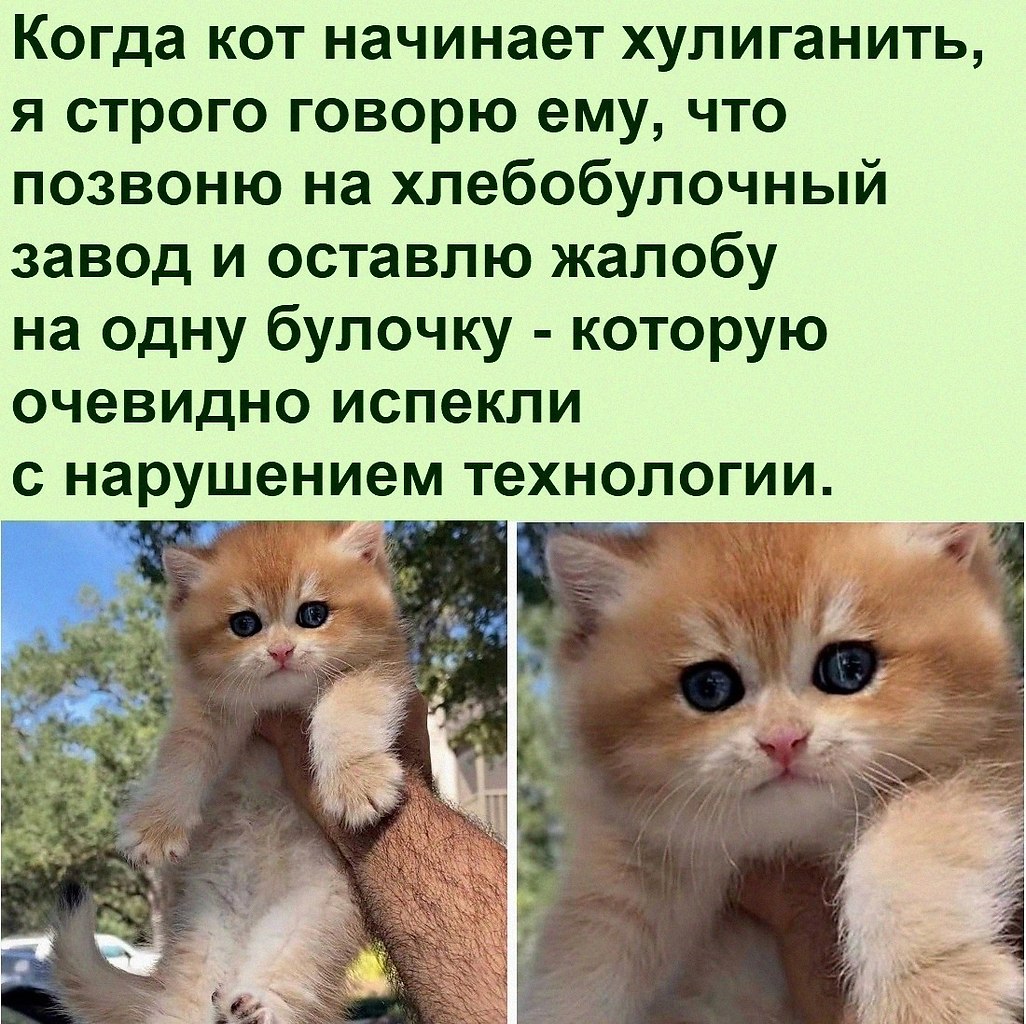   :D - 13  2022  20:43
