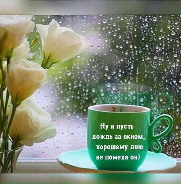 �������� - 26 ��� 2022 � 03:07