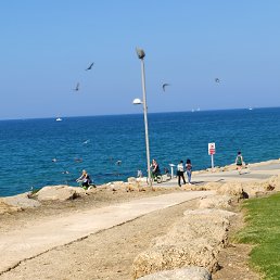 ���� Costia, ����-����, 42 ���� - ��������� 19 ������� 2022