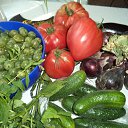���� Nadin, �������, 61 ��� - ��������� 6 ������� 2022 � ������ ������ ��������