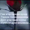 ���� �, ������, 37 ��� - ��������� 12 ��� 2022