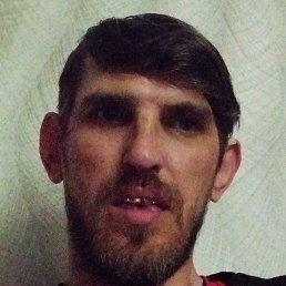 �����, ���������, 41 ���