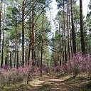 ���� ����, �������, 63 ���� - ��������� 22 ������ 2023