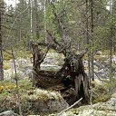 ���� ���������, �����, 67 ��� - ��������� 18 ��� 2022 � ������ ������ ����