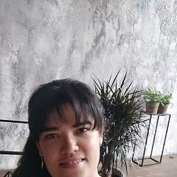 �������, ������, 41 ���