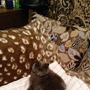 ���� �������(����), ������ - ��������� 19 ������� 2022 � ������ ���� ����������