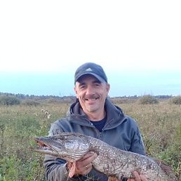 �, ������, 59 ���